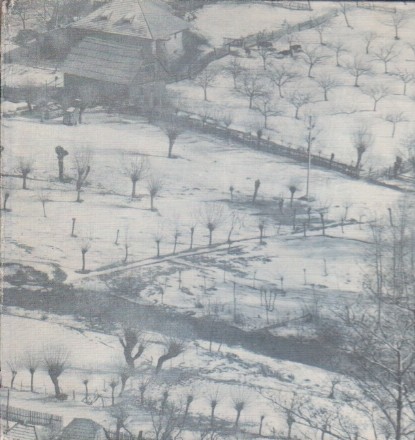 Bran, Album (Editie 1977)