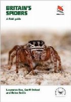 Britain\'s Spiders