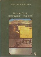 Buna ziua, Domnule Mozart - Jurnalul de vacanta al lui Cosmin