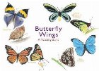 Butterfly Wings:A Matching Game