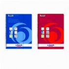 Caiet A4 100 file cu spirala PATRATELE