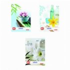 Caiet A5 80 file Motive Spa DICTANDO
