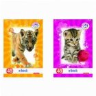 Caiet A5 48 file PRETTY PETS dictando