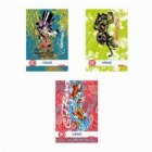 Caiet A5 80 file Rainbow DICTANDO