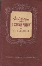 Caiet regie pentru scrisoare pierduta