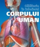 Calatorie in interiorul corpului uman