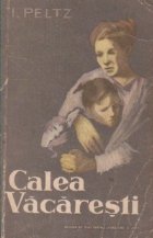 Calea Vacaresti roman