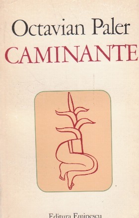 Caminante - Jurnal (si contrajurnal) mexican