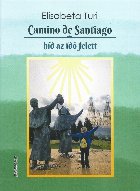 Camino de Santiago, híd az idő felett