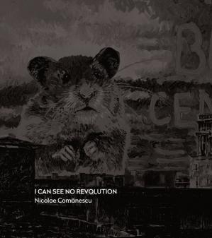 I can see no revolution