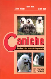 Caniche - rasa de caini pentru toate gusturile
