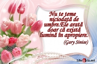 Card magnetic laminat (model 24) - Nu te teme niciodata de umbre. Ele arata doar ca exista lumina in apropiere. (Gary Sinise)