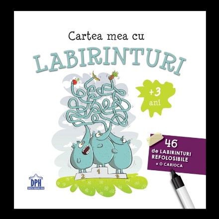 Cartea mea cu labirinturi