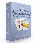 Carti de joc Montessori -  Anotimpuri