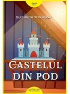 Castelul din pod