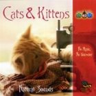 Cats & Kittens