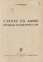 Cazane cu aburi - Reparatia si intretinerea lor
