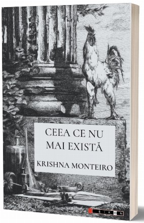 Ceea ce nu mai există