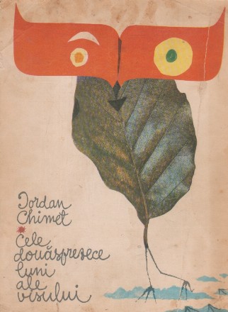 Cele douasprezece luni ale visului