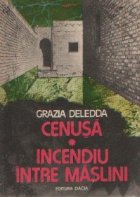 Cenusa. Incendiu intre maslini
