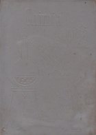 Chimia organica, Manual pentru clasa a XI-a Chimia organica, Manual pentru clasa a XI-a