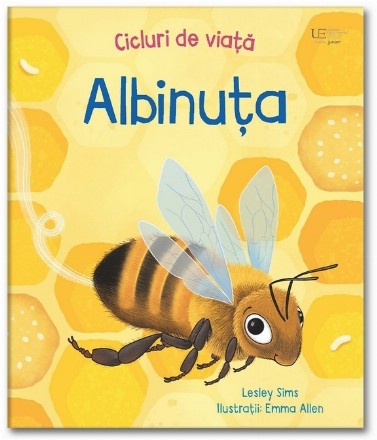 Cicluri de viaţă : Albinuţa