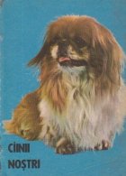Ciinii nostri Buletin documentar August
