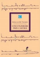 Cinci plimbari prin cartier (volumul I)