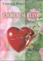 Cioburi ruine