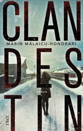 Clandestin : roman