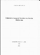 Călătorie în stampele Meiji