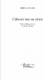 Călătorie într picior