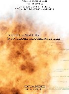 Coduri macro fluent în simulările