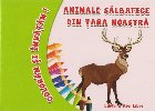 Coloram invatam Animale salbatice din