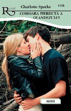 coperta Comoara pierduta a olandezului