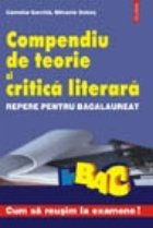 Compendiu teorie critica literara Repere