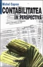 Contabilitatea in perspectiva