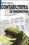 Contabilitatea in perspectiva