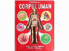 Corpul Uman, model 3D. Descopera cea mai uimitoare masinarie: corpul tau