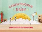 Countdown to Baby