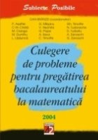 CULEGERE DE PROBLEME PENTRU PREGĂTIREA BACALAUREATULUI LA MATEMATICĂ 2004
