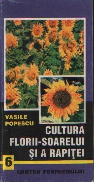 Cultura florii-soarelui si a rapitei