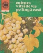 Cultura vitei de vie pe langa casa