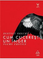 Cum cucerești un înger. Poeme erotice