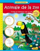 Cum sa desenez - Animale de la zoo. Invata sa desenezi pas cu pas