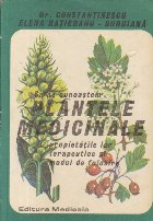 Sa ne cunoastem plantele medicinale, proprietatile lor terapeutice si modul de folosire