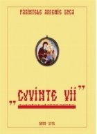 Cuvinte vii