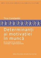 Determinanti motivatiei munca teorie analiza