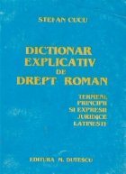 Dictionar explicativ drept roman Termeni