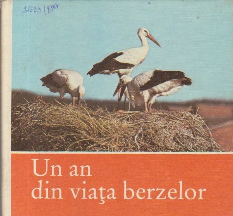 Un an din viata berzelor